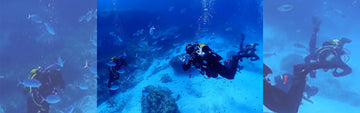 Rules For Scuba Divers