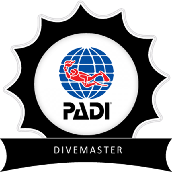 PADI Divemaster (DM)