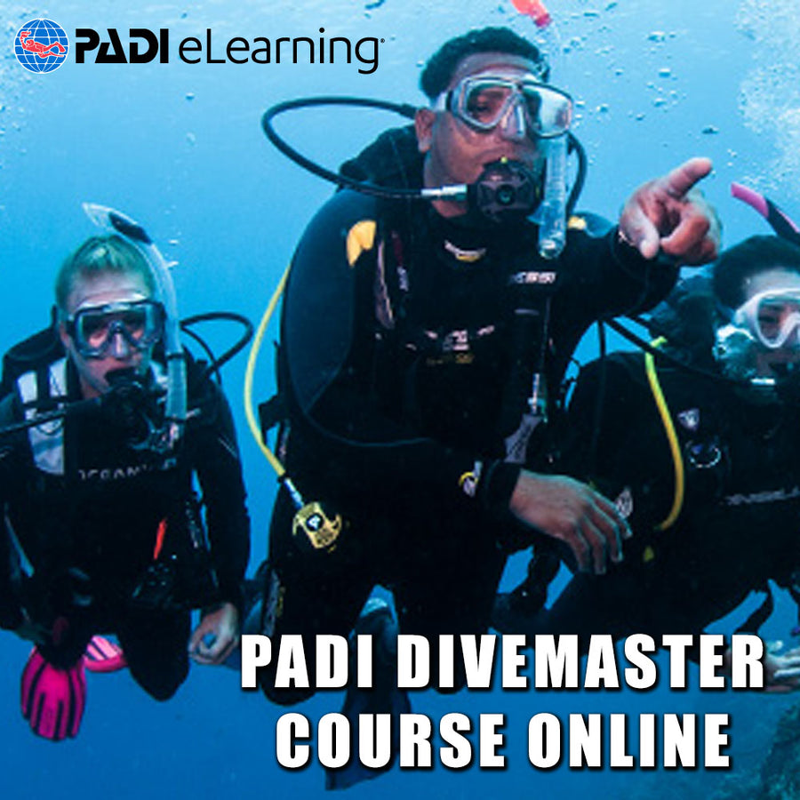 PADI Divemaster Theory Online