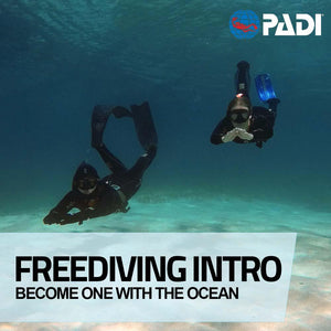 PADI Discover Freediving