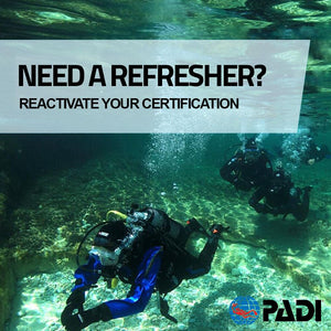 PADI ReActivate