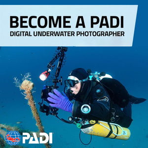 PADI Underwater Photography